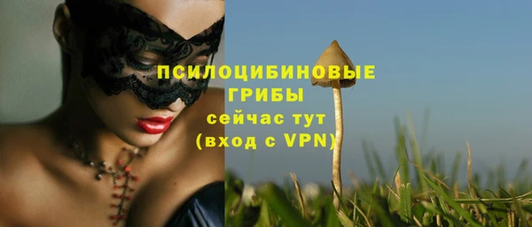 дмт Ростов