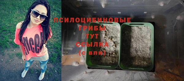 сатива Абинск