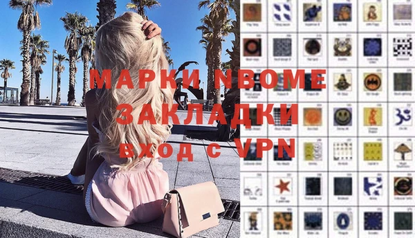 сатива Абинск