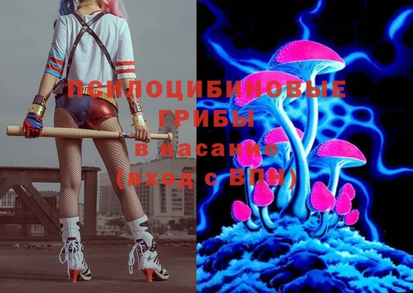 сатива Абинск