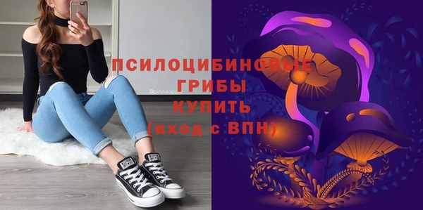 сатива Абинск