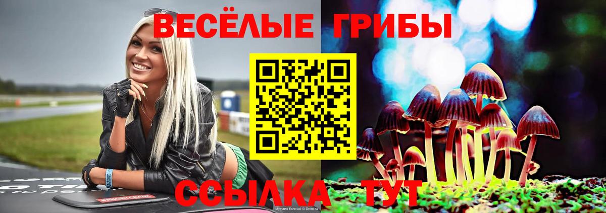 Галлюциногенные грибы Psilocybine cubensis Тихорецк