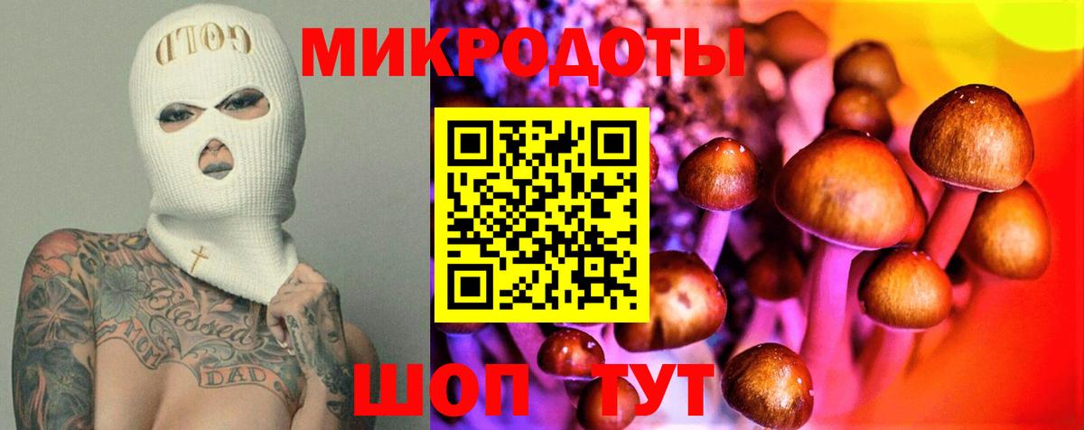 Галлюциногенные грибы MAGIC MUSHROOMS  где купить наркоту  Вход с VPN  Тихорецк  Галлюциногенные грибы MAGIC MUSHROOMS 